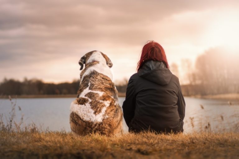 Dein Hund und Du – Ein Miteinander auf Augenhöhe