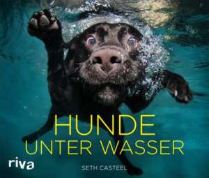 Hunde_unter_Wasser