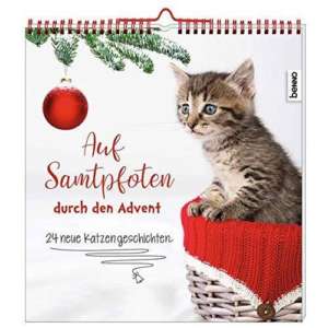 adventskalender_katzen
