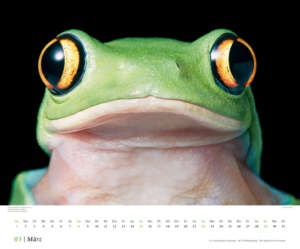 kalender_bedrohte_tiere