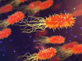 multiresistente keime