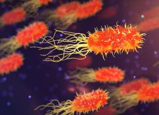 multiresistente keime