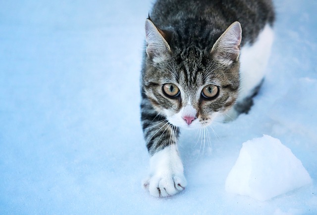 Gefahren im Winter