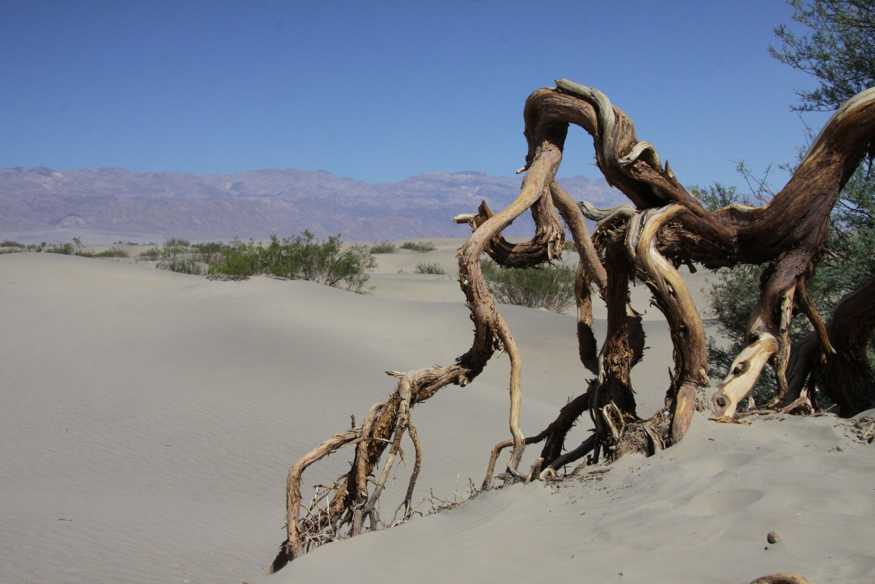 Death Valley - das Tal des Todes