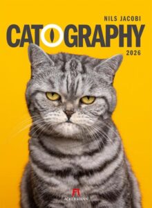 Catography Katzen-Kalender 2026