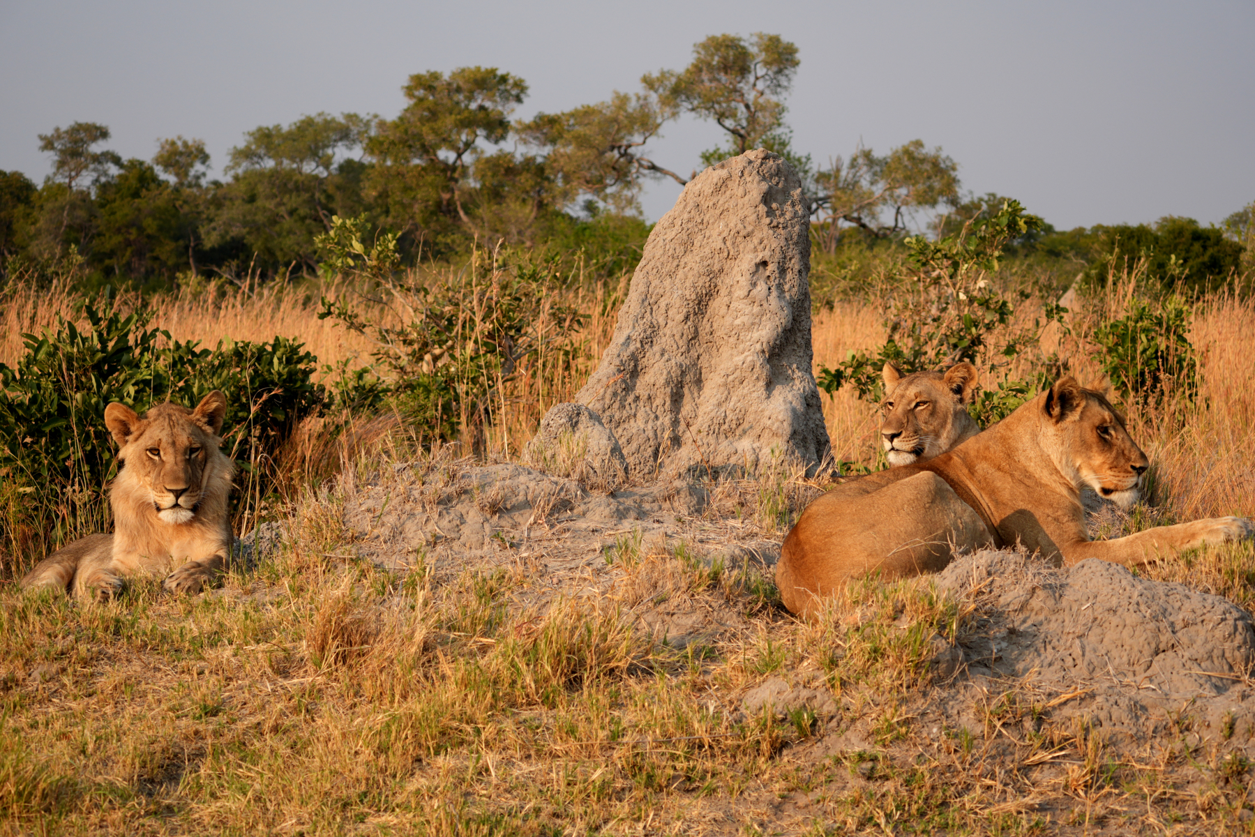 Botswana