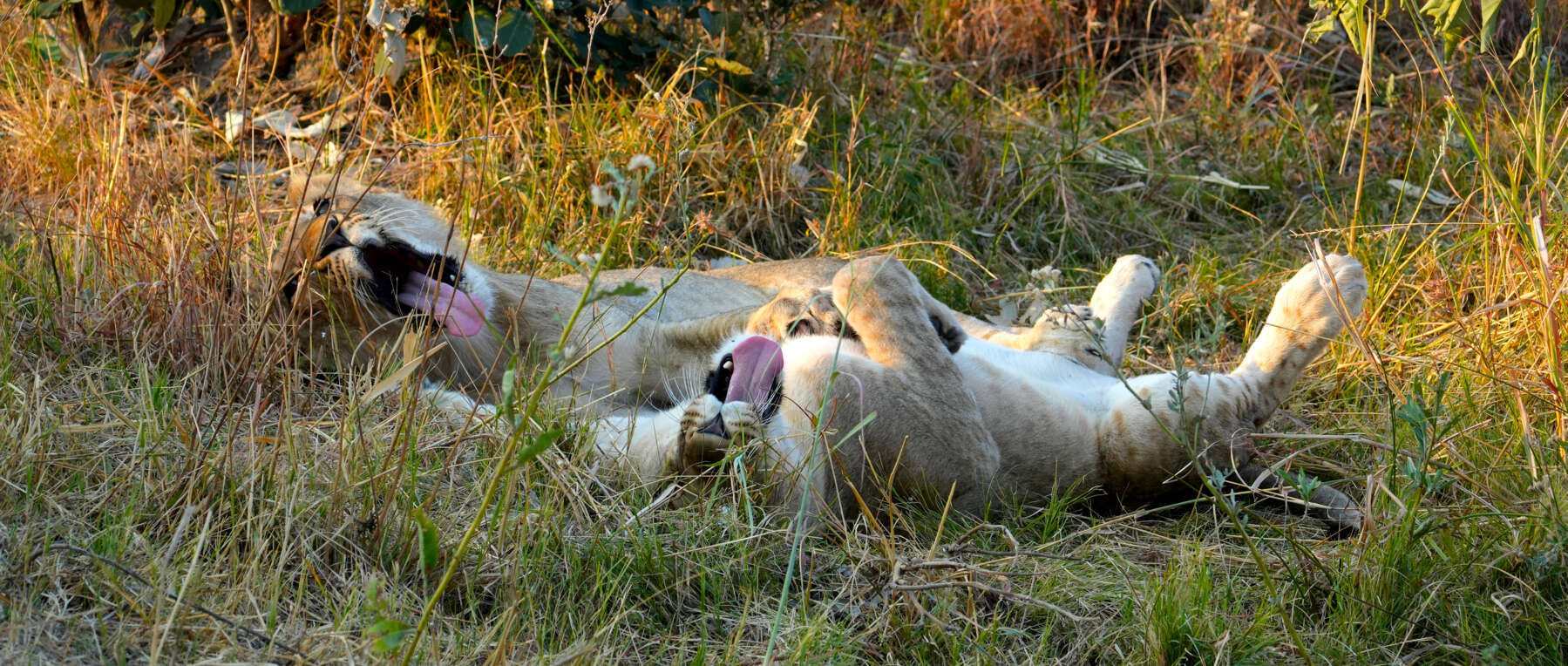 Botswana