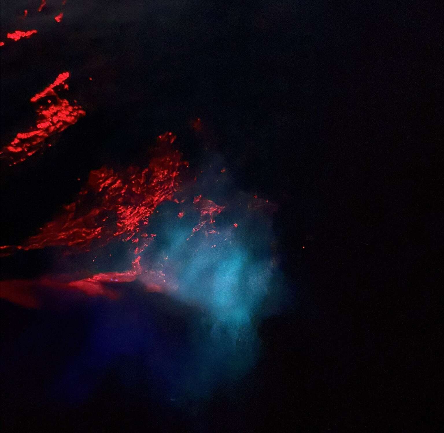 Biolumineszenz