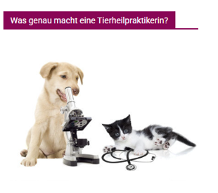 Hund und Katze am Mikroskop