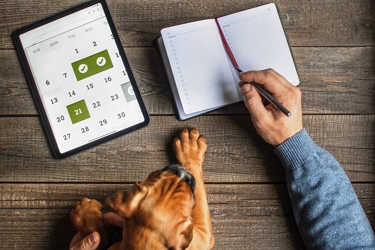 Kalender und Planer Kategorie Bild