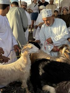Ziegenmarkt in Nizwa - eine völlig andere Welt