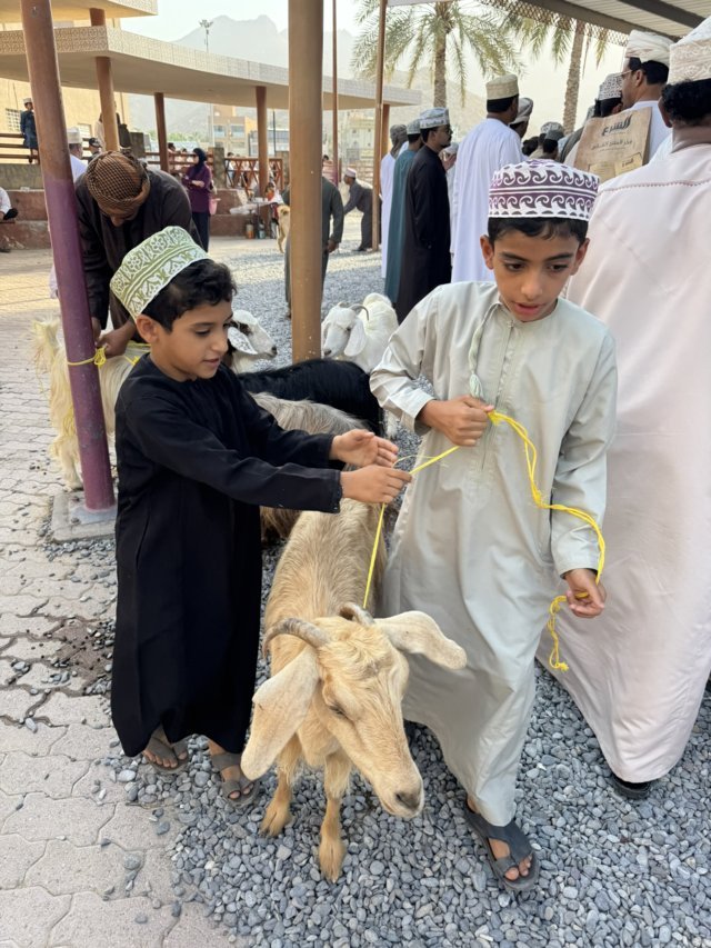 Ziegenmarkt in Nizwa