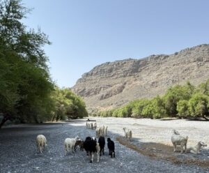 Wir machen eine kurze Wanderung durch den ausgetrockneten Wadi Bani Tanuf - in den Wintermonaten ist es ein reißender Fluss