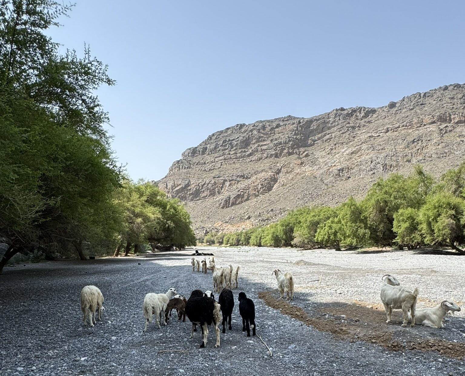 Wir machen eine kurze Wanderung durch den ausgetrockneten Wadi Bani Tanuf - in den Wintermonaten ist es ein reißender Fluss