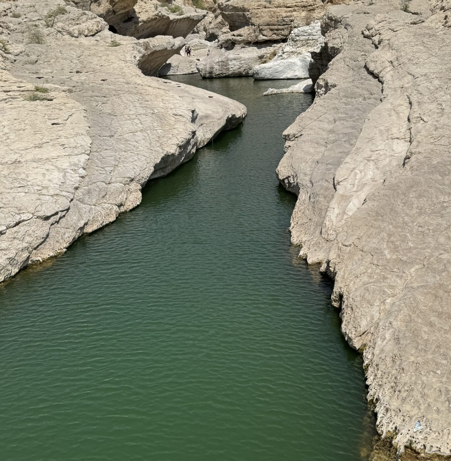 Wadi Bani Khalid -  eine grünen Oase mitten in der Wüste.