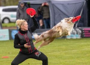 Teamwork im Hundesport: Mensch-Hund-Bond stärkt Leistung