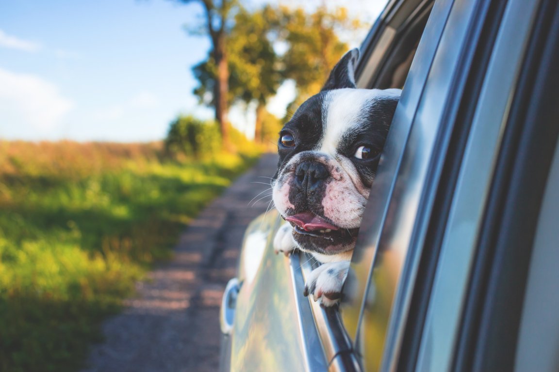 Reise