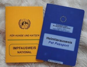 Hunde impfen