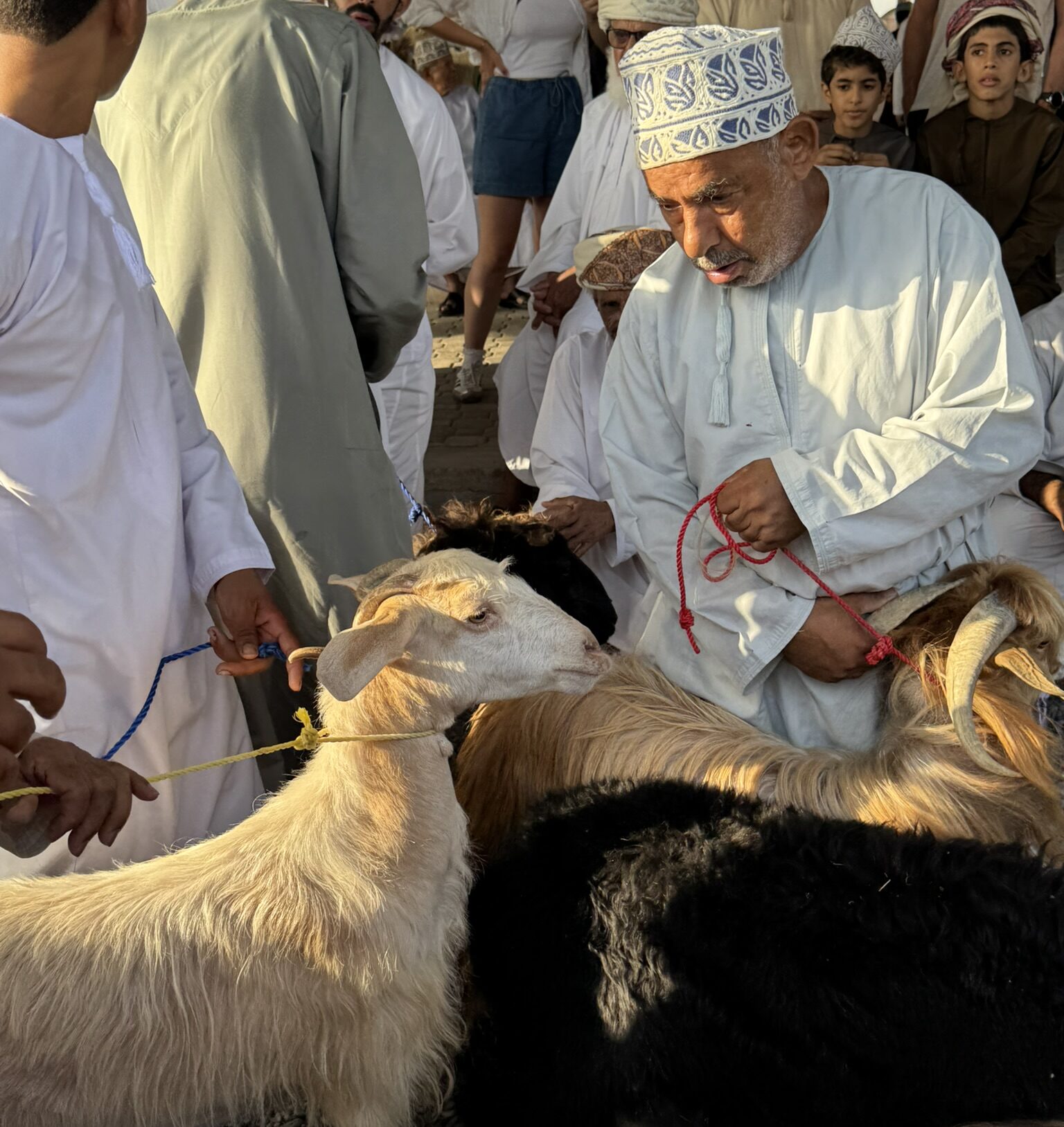Oman - der Ziegenmarkt in Nizwa